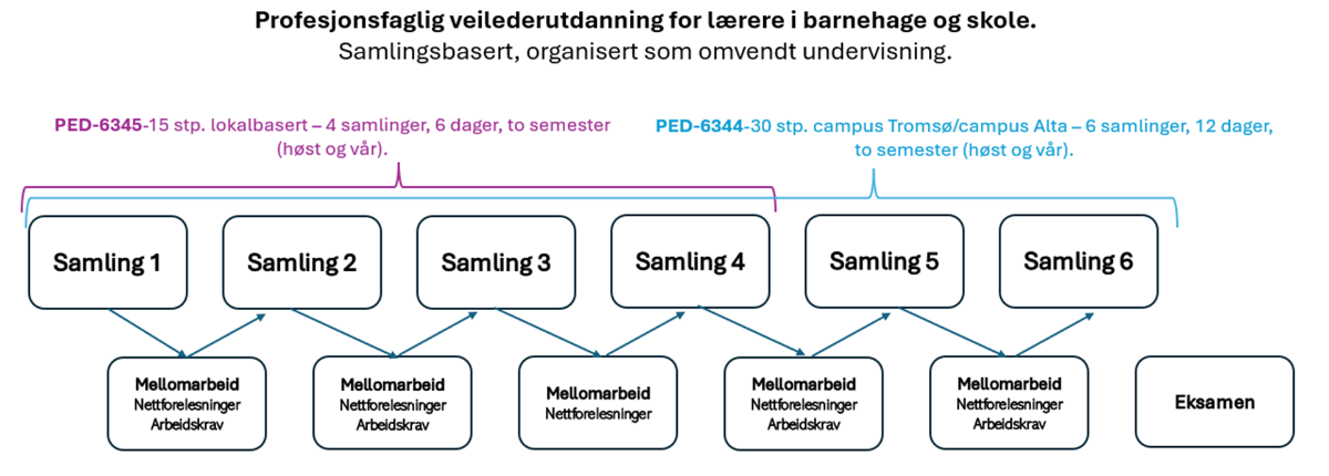 modell veilvu.png